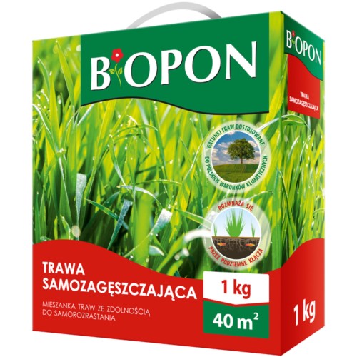 cf0a52a302af912ec9301e253b9630cd.jpg