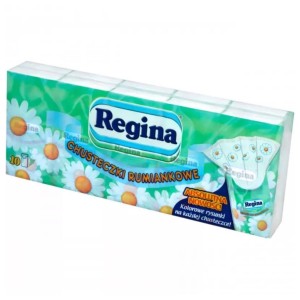 REGINA CHUSTECZKI HIGIENICZNE 4-WARSTWOWE 10 SZT